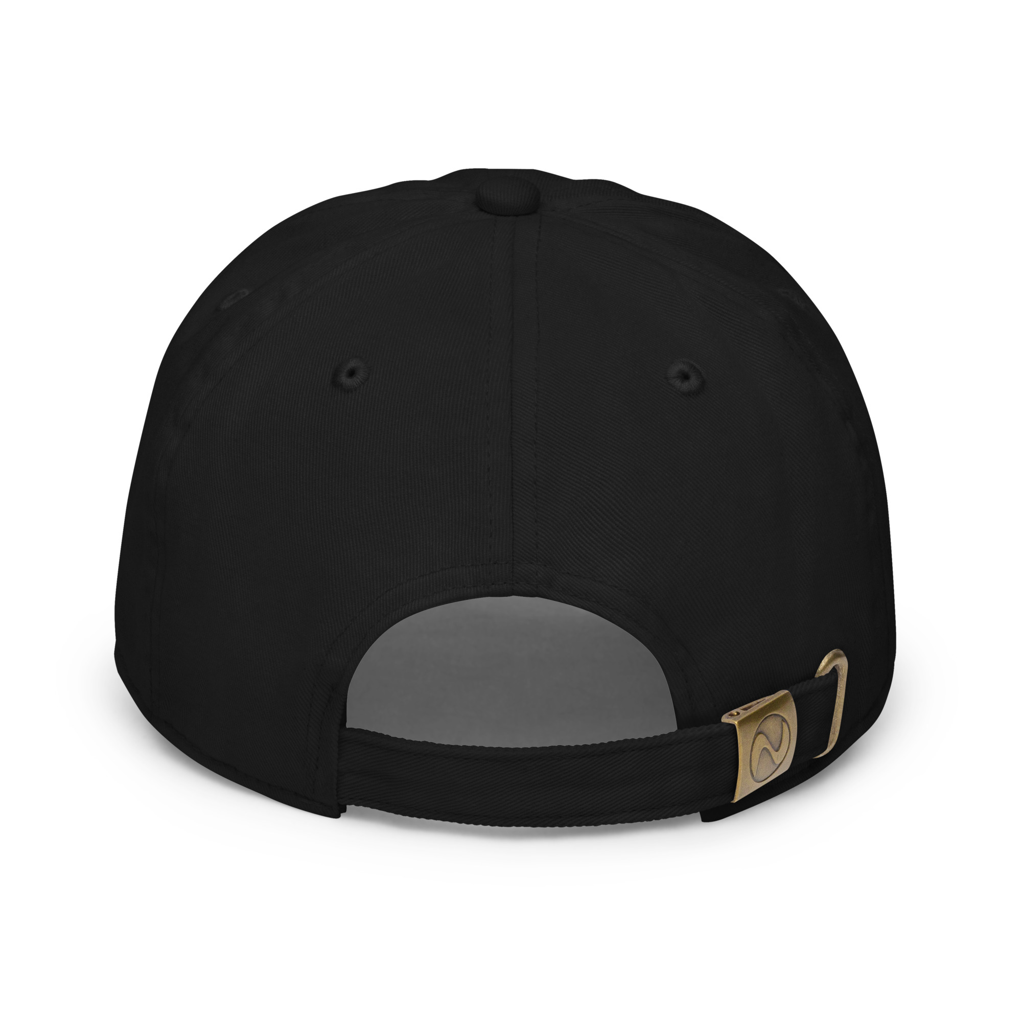fitted baseball cap black back 649e99c84d767.jpg