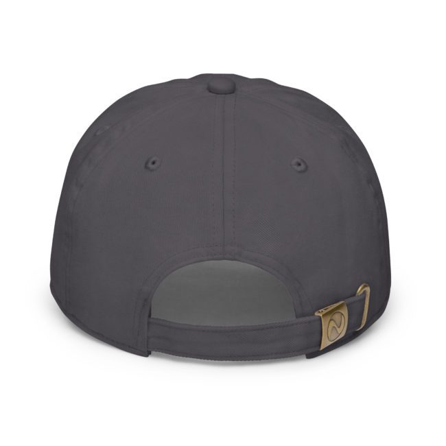 fitted baseball cap charcoal back 649e99c84dfdc.jpg