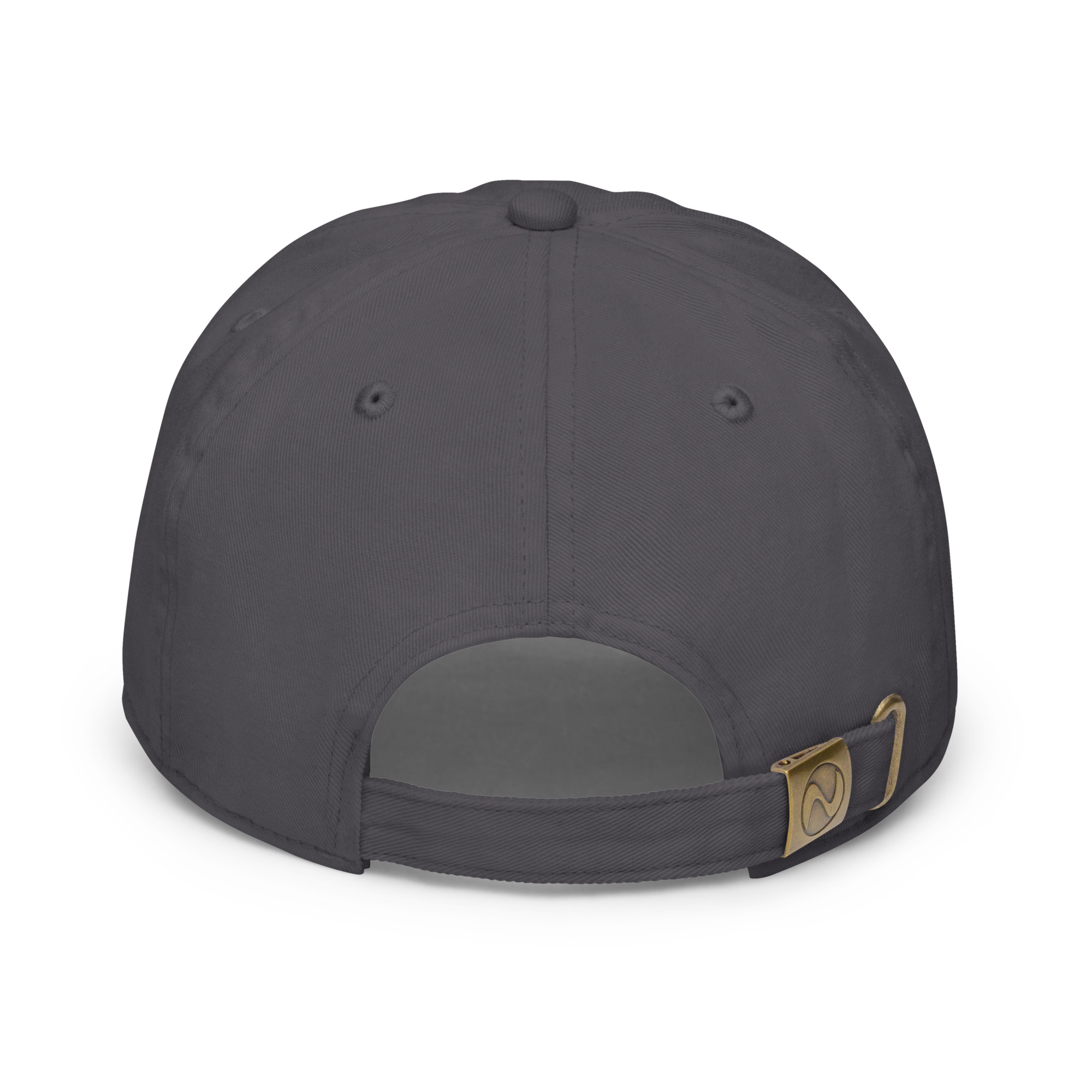 fitted baseball cap charcoal back 649e99c84dfdc.jpg