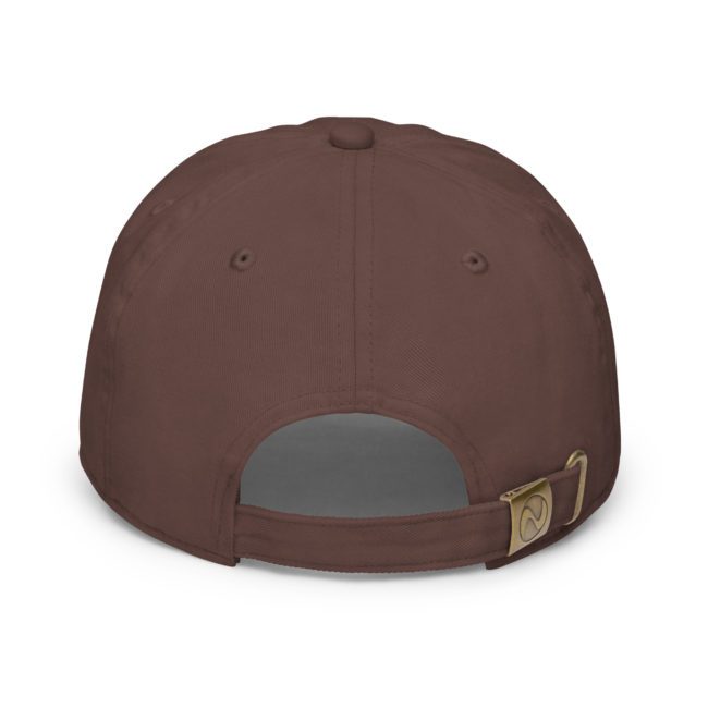 fitted baseball cap dark brown back 649e9a517527c.jpg