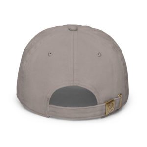 fitted baseball cap grey back 649e9a5176e18.jpg