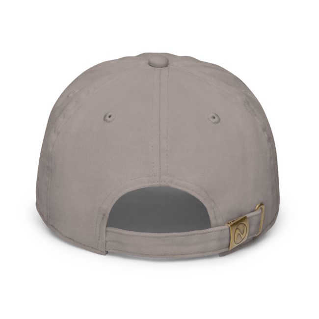 fitted baseball cap grey back 649e9a5176e18.jpg