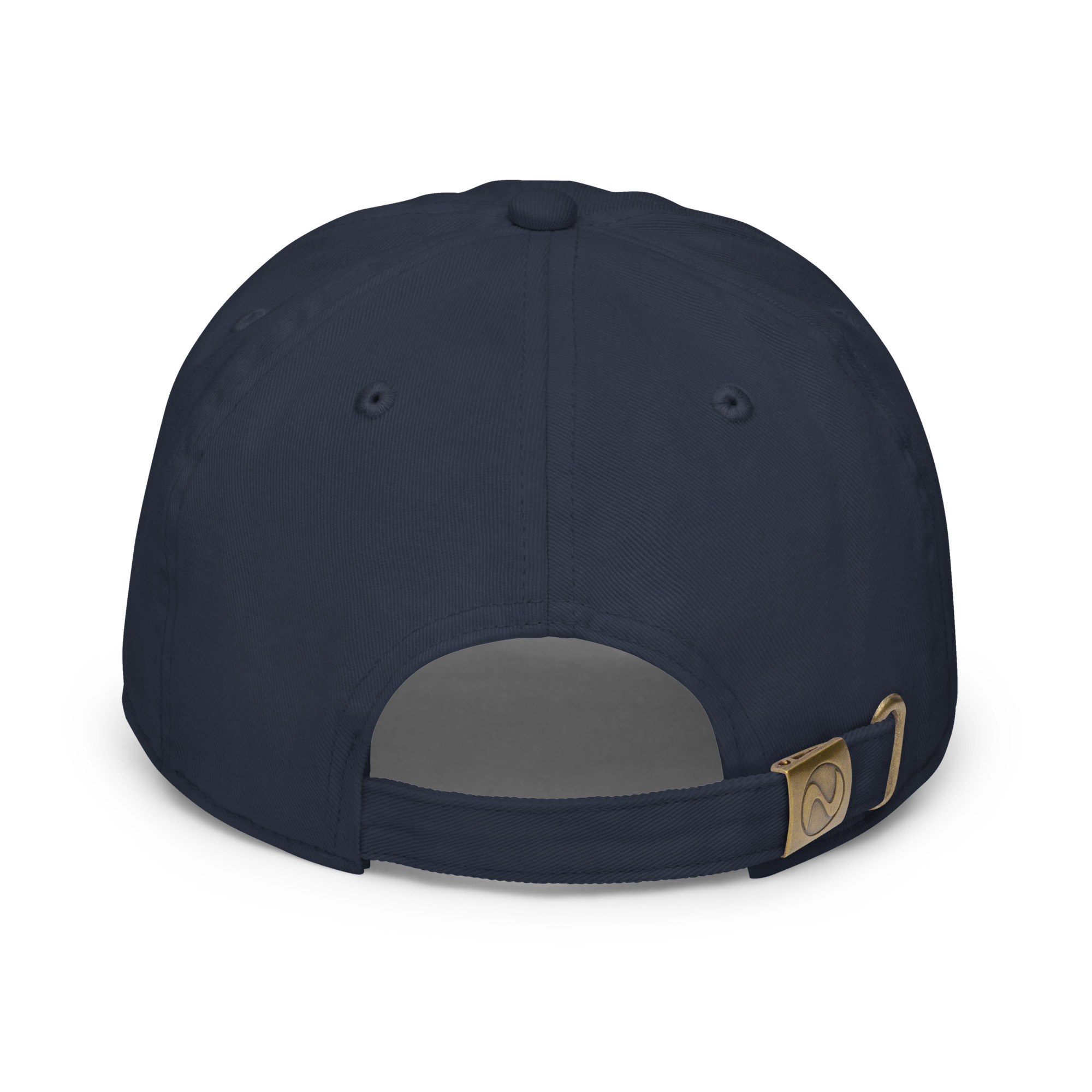 fitted baseball cap navy back 649e99c84d9c4.jpg