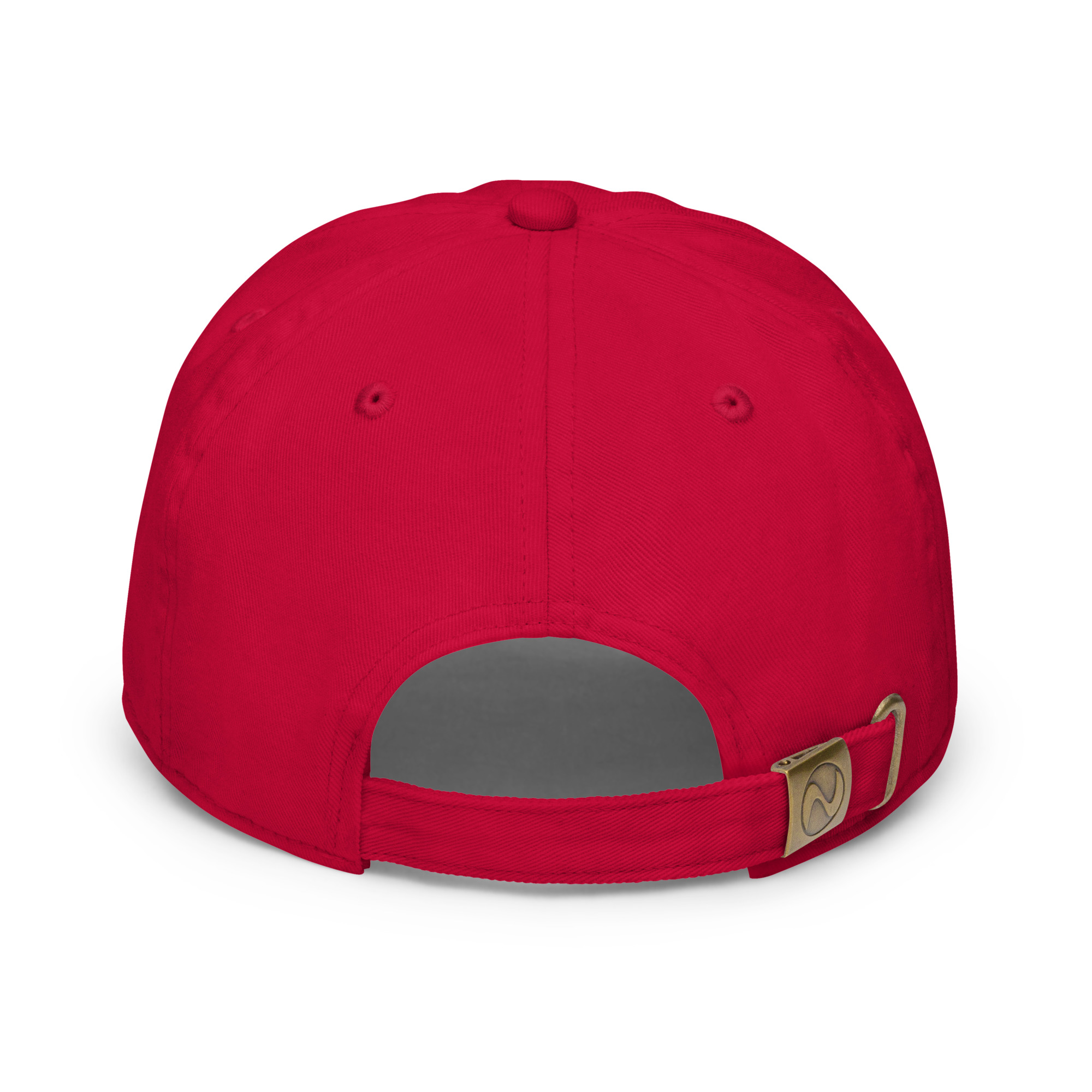 fitted baseball cap red back 649e9a517487f.jpg
