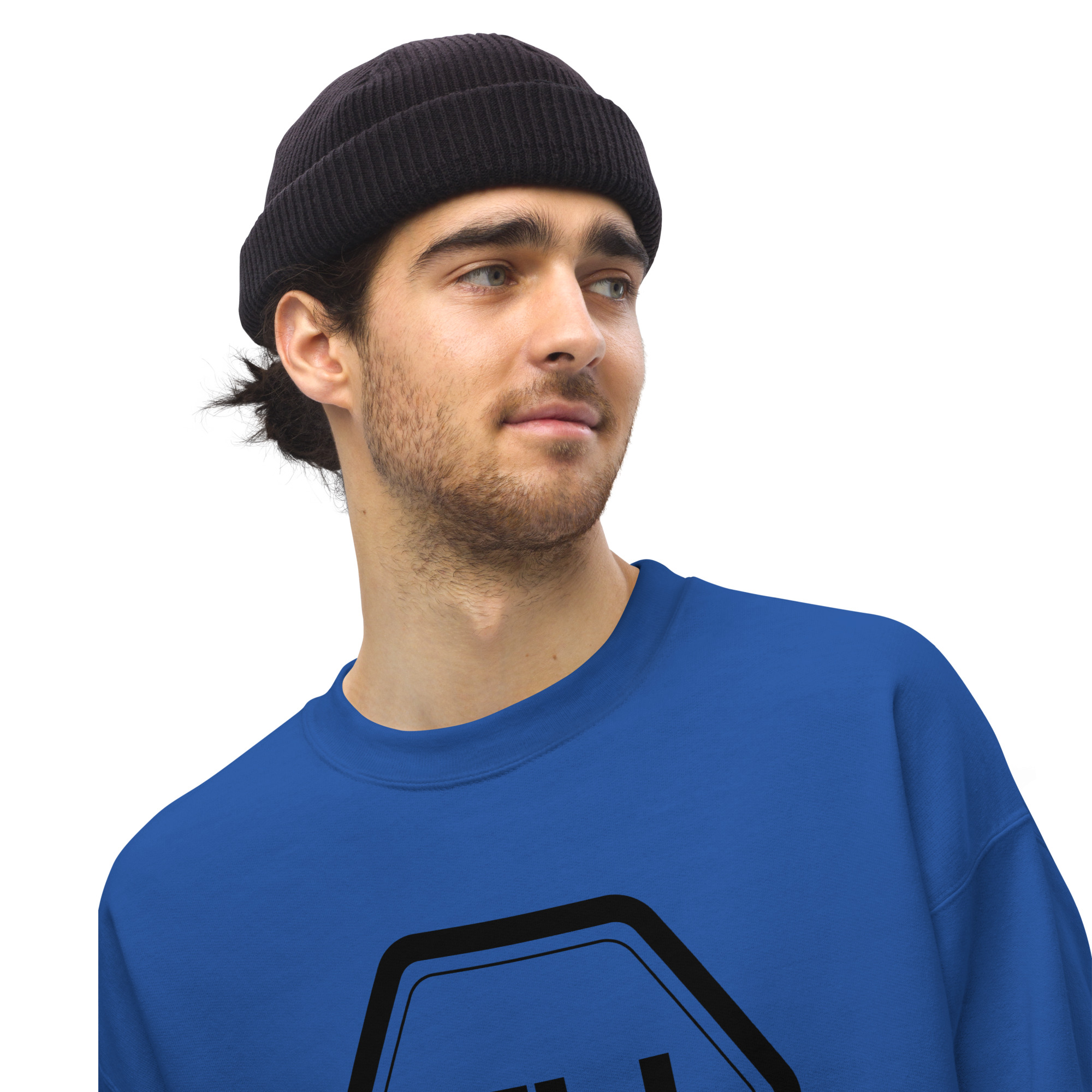 unisex crew neck sweatshirt royal front 649eb0d99b897.jpg