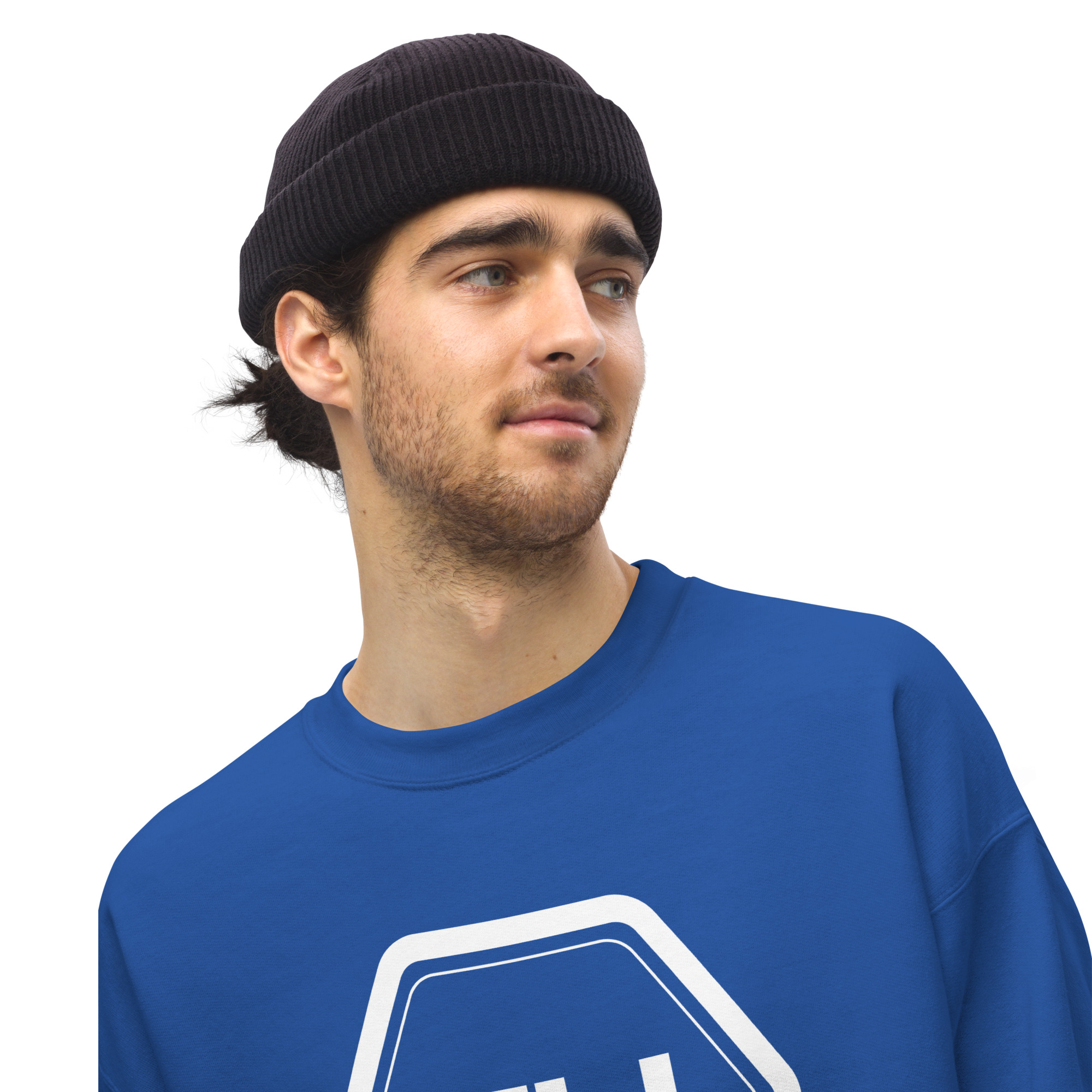 unisex crew neck sweatshirt royal front 649eb119bc0b6.jpg