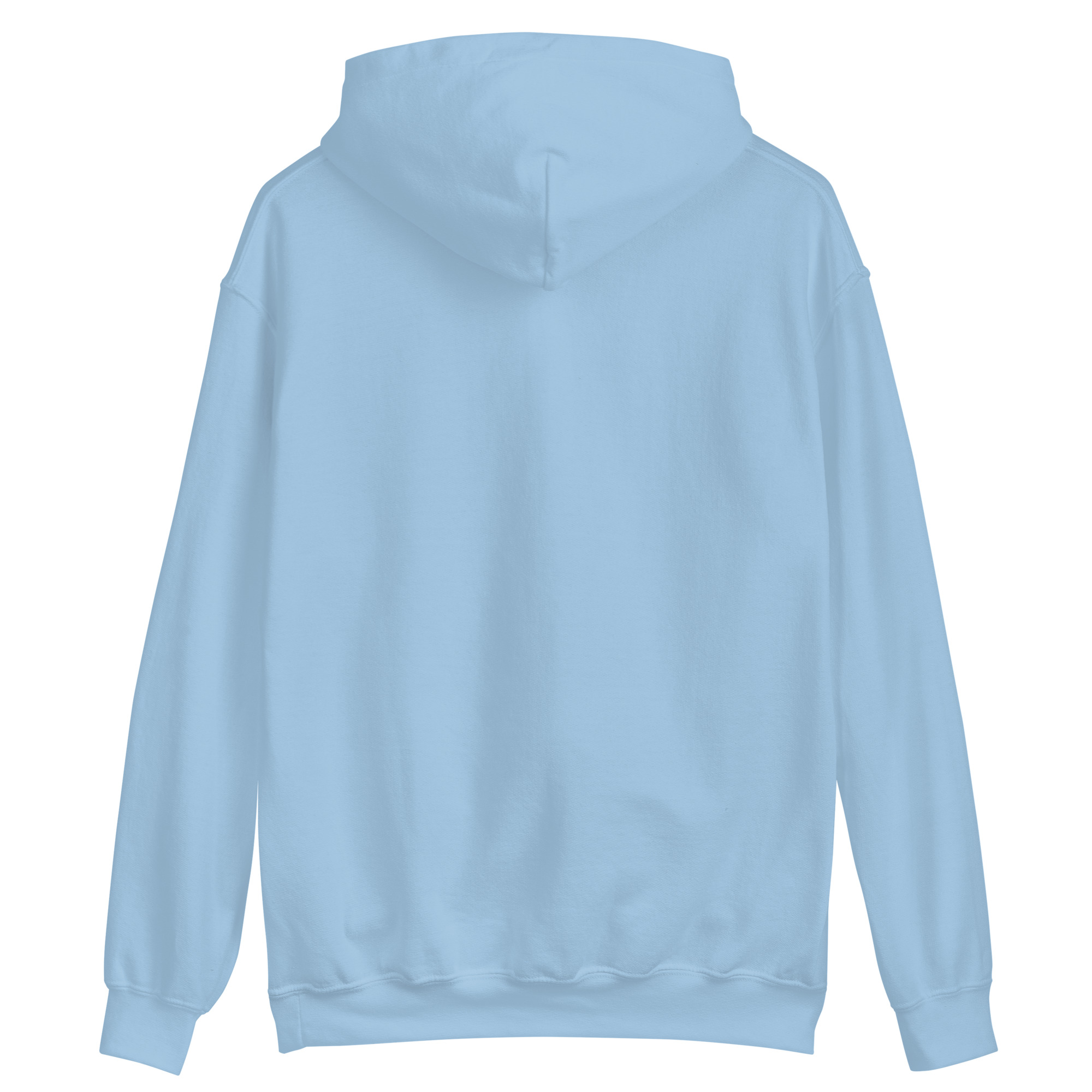unisex heavy blend hoodie light blue back 649e9f5635fc5.jpg
